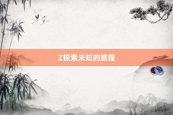 Z探索未知的旅程